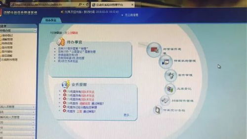 重慶市 打造 一網三平臺 服務群眾 零距離