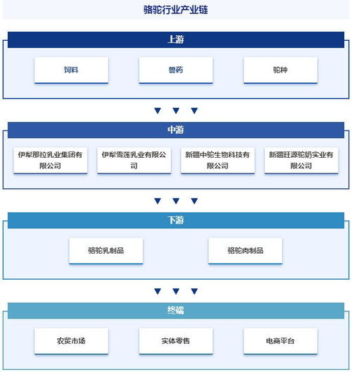 中國駱駝行業投資前景分析及未來發展趨勢研究報告 智研咨詢發布